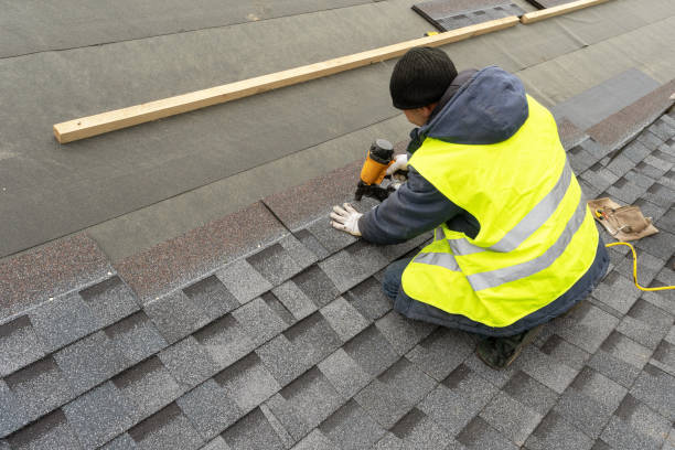 Best Metal Roofing Contractor  in Red Lake, AZ