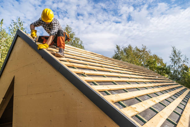 Best Roof Gutter Cleaning  in Red Lake, AZ